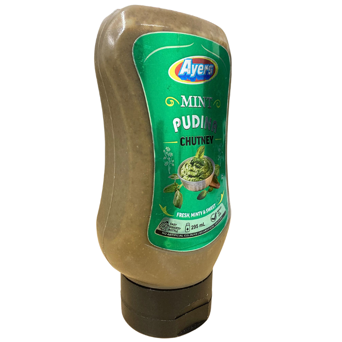 MINT PUDINA CHUTNEY