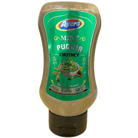 MINT PUDINA CHUTNEY